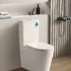 ALPHA Rimless Tornado Toilet Suite | CETO -HERA Bathware Sales alpha rimless tornado toilet suite cetotoiletkdk bathware 962031