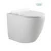 Ascoli Rimless Inwall Toilet Floor Pan -HERA Bathware Sales ascoli rimless inwall toilet floor panbnk 840255