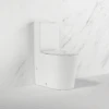 Azaria Wall Face Rimless Tornado Toilet 2 Azaria Wall Face Rimless Tornado Toilet -HERA Bathware Sales azaria wall face rimless tornado toiletgloss white with geberit cisterntoilet suitesfifth ave 889970