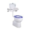 Calla Disable P-Trap Toilet Suite Compliance With AS1248.1-2009