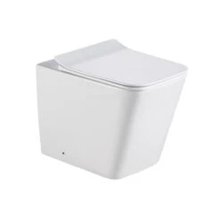 Caserta Rimless Inwall Toilet Floor Pan