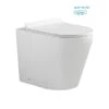 Cortona Rimless Inwall Toilet Floor Pan
