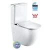 DUBLIN Rimless Back To Wall Toilet Suite -HERA Bathware Sales dublin rimless back to wall toilet suitetoiletbest bm 351618