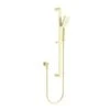 Ecco / BIANCA Rail Shower 1 Ecco / BIANCA Rail Shower -HERA Bathware Sales ecco bianca rail showerbrushed goldshower railsnero tapware 239785