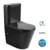OASIS BLACK RIMLESS TOILET SUITE - GIBERIT CISTERN 1 OASIS BLACK RIMLESS TOILET SUITE - GIBERIT CISTERN -HERA Bathware Sales oasis black rimless toilet suite giberit cisterntoiletinspire bathware 197838
