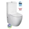 T6083 Back To Wall Toilet Suite