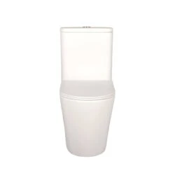 Vega Back To Wall Toilet Suite