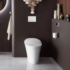Veil Integrated Wall Faced Toilet 4 Veil Integrated Wall Faced Toilet -HERA Bathware Sales veil integrated wall faced toiletkohler 149782