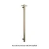VS900HBB Brushed Brass Round Vertical Single Heated Towel Rail-W142xH900xD100mm -HERA Bathware Sales vs900hbb brushed brass round vertical single heated towel rail w142xh900xd100mmheated towel railthermogroup 860957