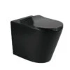 Zegna Matte Black In Wall Toilet With R&T Cistern