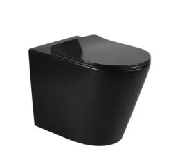 Zegna Matte Black In Wall Toilet With R&T Cistern