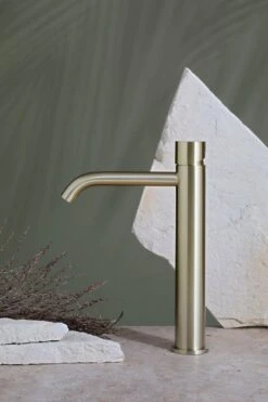 Zen SS316L Outdoor Tall Basin Mixer (Pin-less) 4 Zen SS316L Outdoor Tall Basin Mixer (Pin-less) -HERA Bathware Sales zen ss316l outdoor tall basin mixer pin lessbrushed goldbasin mixernero tapware 558456